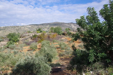 Fototapeta na wymiar Forested mountains in Cyprus