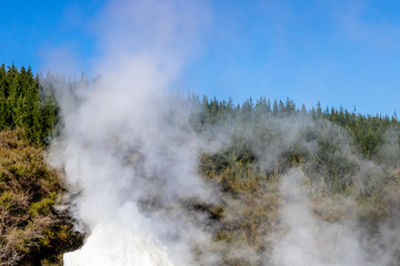 Lady Knox Geyser, Wai-O-Tapu Thermal Wonderland, Rotarua, New Zealand