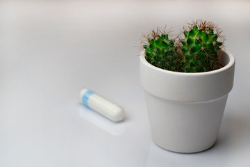 Hygienic tampon for every day with green cactus in a pot on a white background