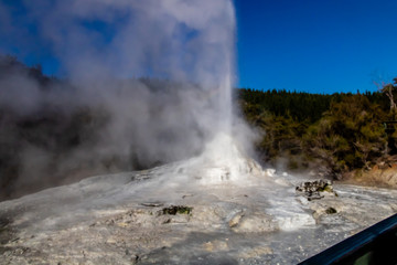 Lady Knox Geyser, Wai-O-Tapu Thermal Wonderland, Rotarua, New Zealand
