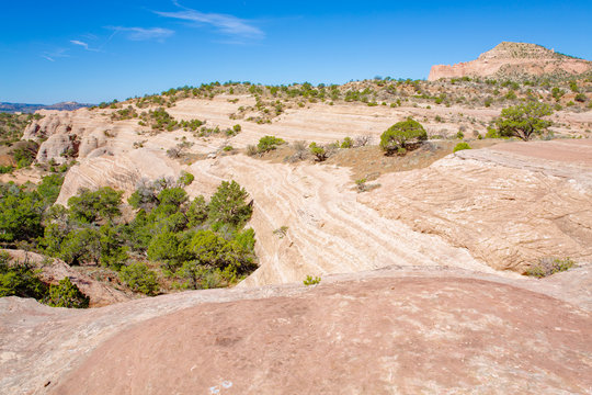 Red Rock Park near Gallup in New Mexico, USA