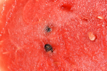 Red melon flesh, cut into sections With patterns and seeds Used as a background image.