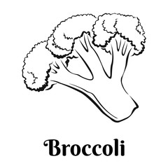 Broccoli icon isolated on white background. Vector Vegetable illustration in simple style. Black and white image.