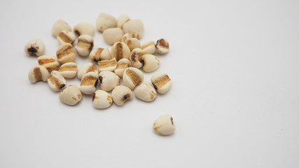 Job's Tears, also known as adlay and coix on white background. Popular in Asian cultures as a food source