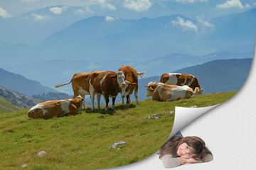 Fototapeta na wymiar Herd of cows is grazing on a mountain pasture. All is on the page with curl effect. Smiling cute little girl is lying in an exposed corner looking at the camera. 