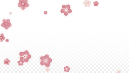Vector Realistic Pink Flowers Falling on Transparent Background.  Spring Romantic Flowers Illustration. Flying Petals. Sakura Spa Design. Blossom Confetti. Design Elements for Wedding Decoration.