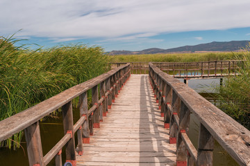 Puente de madera en el Parque Nacional de las Tablas de Daimiel. Ciudad Real. España.