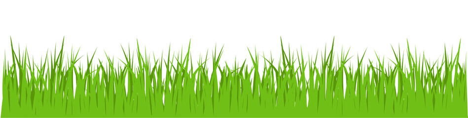 Green Gras Vektor