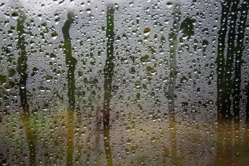 Rain drop on glass with blurred wild background.