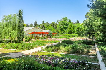 Shiraz Eram Garden 03