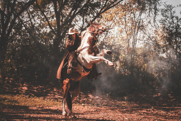 Cowboy on horseback.Cowboy riding horse.