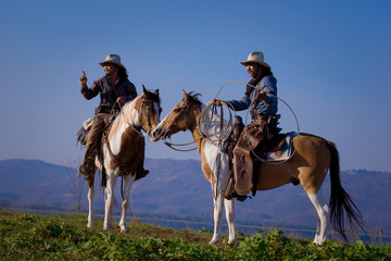 Cowboy on horseback.Cowboy riding horse.