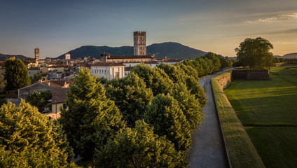 Aerial view of Lucca, Tuscany, Italy - obrazy, fototapety, plakaty