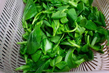 fresh vegetables in washing basin