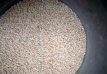 Millet seeds are usually used to feed birds