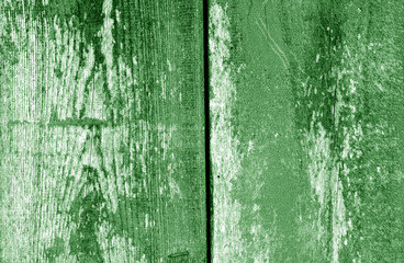Old grungy wooden planks background in green tone.