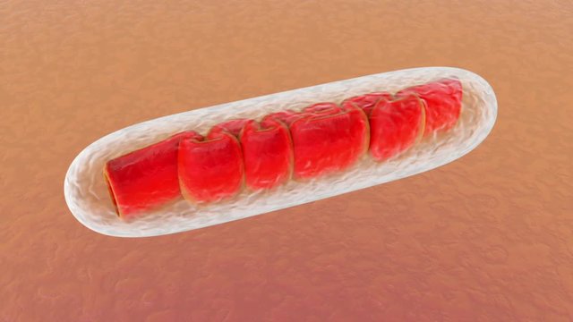 3D rendered Animation of a Mitochondria Cell.