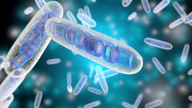 3D rendered Animation of moving Mitochondria Cells.