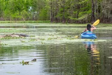 People are enjoying canoing, boating and fishing in swamp