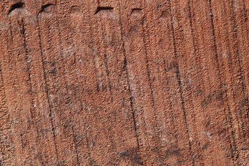 Texture bois bruyère Stiennon Jacques