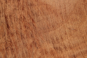 Texture bois bruyère Stiennon Jacques