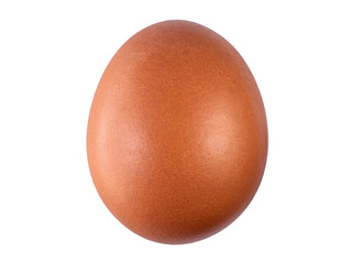Chicken egg extreme macro background