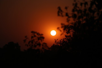 sunset in forest