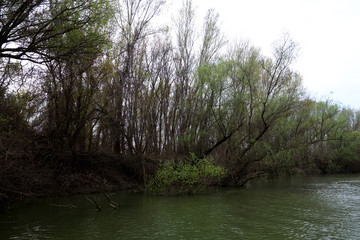 Spring boat trips at weekends