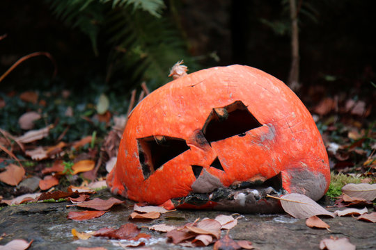 K&uuml;rbisgeist Halloween verschimmelt kaputt vergammelt