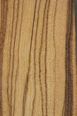 Texture bois Olivier Stiennon Jacques