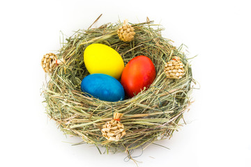 Fototapeta na wymiar colored easter eggs in grass nest with bumps