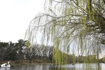 公園