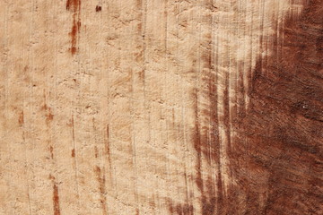 Texture bois bruyère Stiennon Jacques
