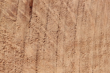 Texture bois bruyère Stiennon Jacques