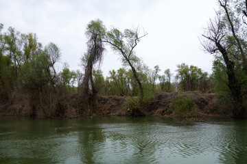 The serene spring day on the Danube's arms