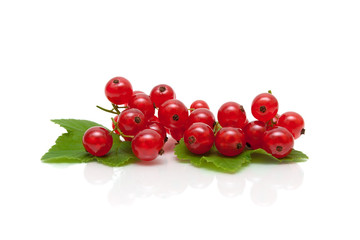 red currant berries on a white background