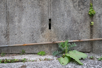 A water pipe with holes for melting snows of the edge of the street
