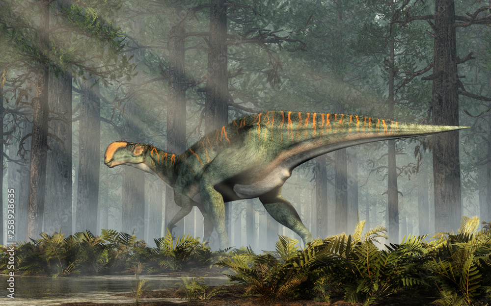 Poster an altirhinus in a dense forest. altirhinus (high snout) was a type of iguanodon dinosaur of the ear