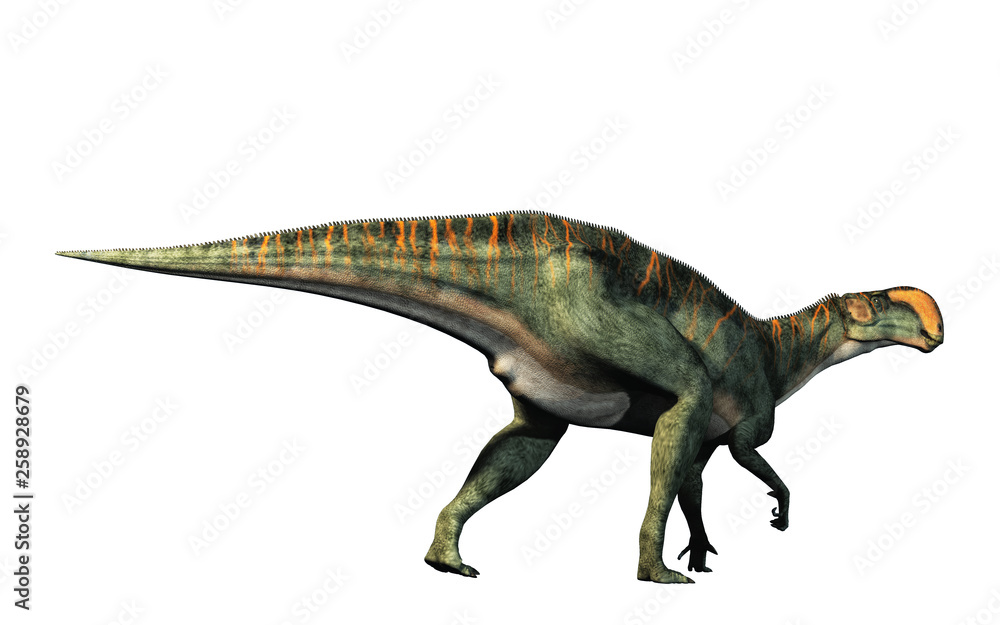 Poster an altirhinus on a white background. altirhinus (high snout) was a type of iguanodon dinosaur of the