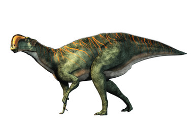 An Altirhinus on a white background.  Altirhinus (high snout) was a type of iguanodon dinosaur of the early Cretaceous period in Mongolia. 3D Rendering