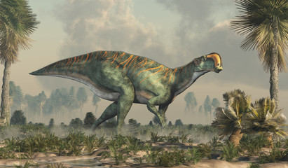 An Altirhinus in a wetland.  Altirhinus (high snout) was a type of iguanodon dinosaur of the early Cretaceous period in Mongolia. 3D Rendering