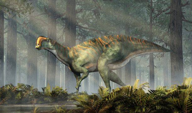Fototapeta An Altirhinus in a dense forest.  Altirhinus (high snout) was a type of iguanodon dinosaur of the early Cretaceous period in Mongolia. 3D Rendering