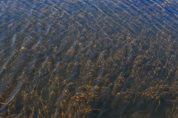 abstract water background