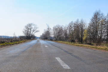 Fototapeta premium road in the forest