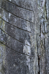 old wood texture background