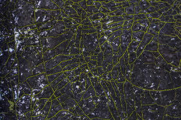 green black background