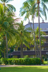 Sanatorium in the tropical garden. Bali Island.