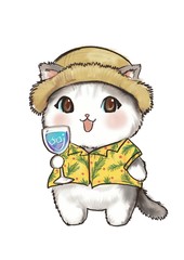 Cat kakaloki
