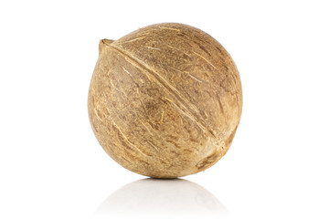 One whole fresh bio coconut isolated on white background
