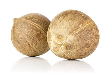 Group of two whole fresh bio coconut isolated on white background
